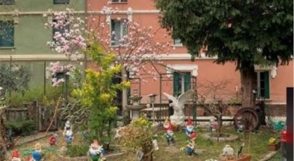 Photo 7