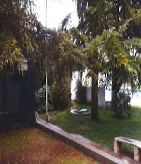 Photo 49