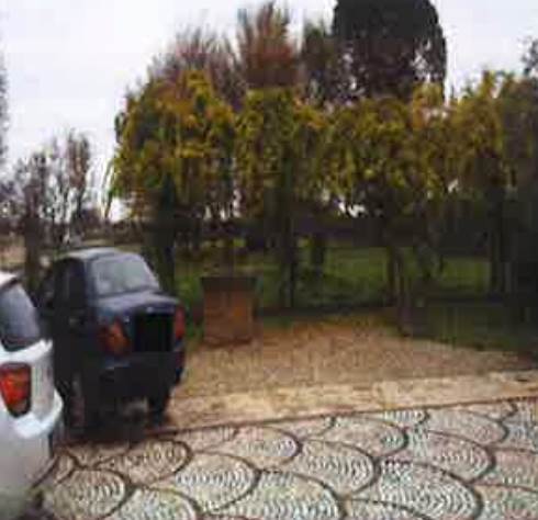 Photo 51