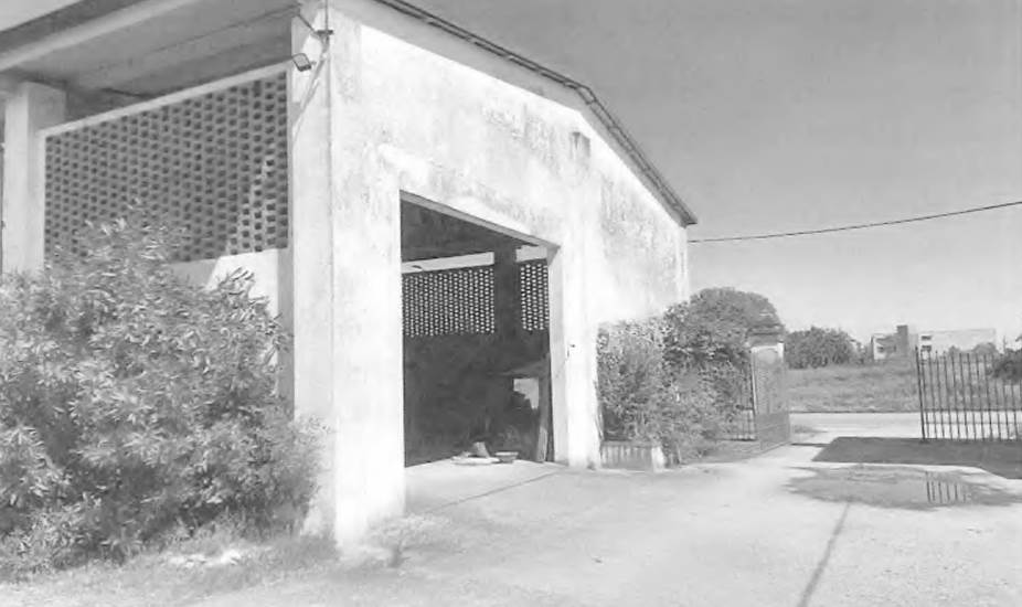 Photo 25