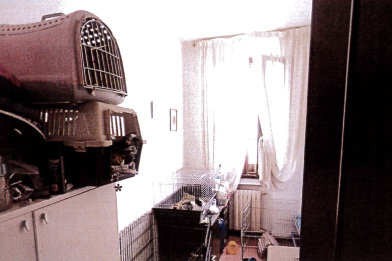 Photo 9