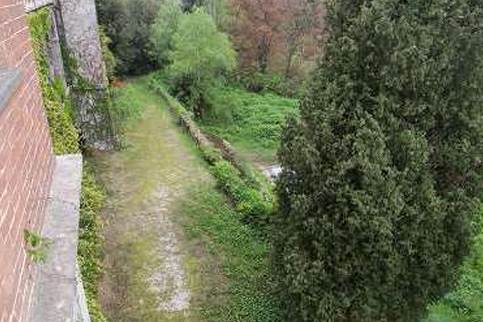 Photo 32