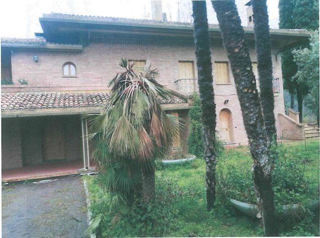 Foto Principale (< 1 Mb)