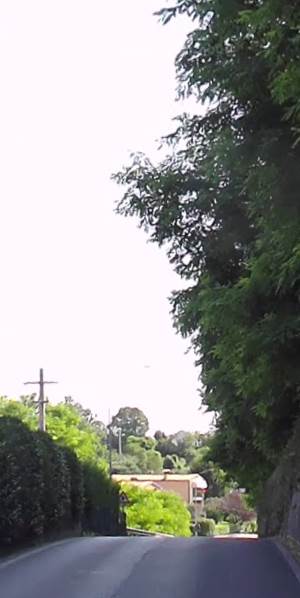 Photo 33