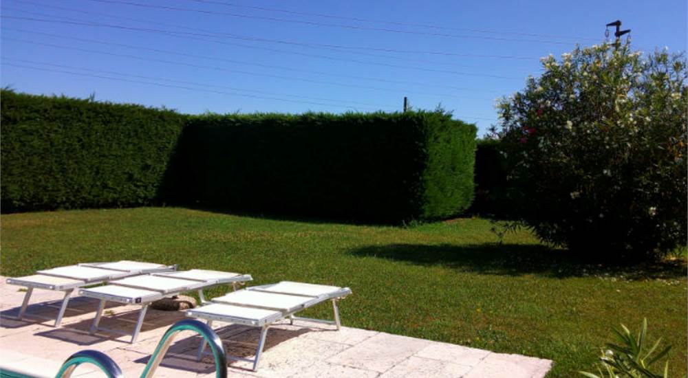 Photo 24