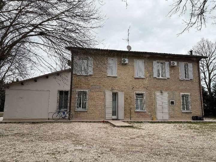 Foto1