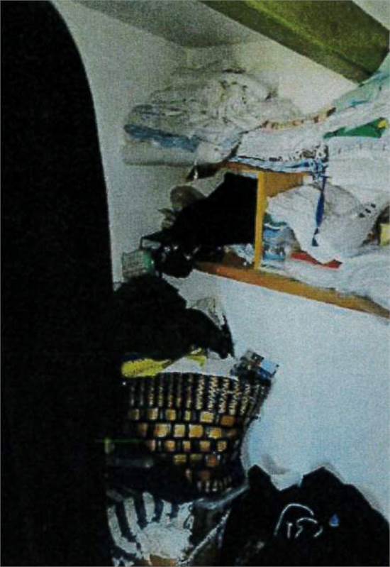 Photo 15