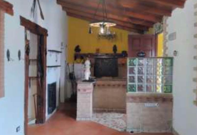 Photo 42