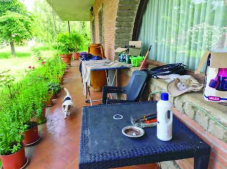 Photo 20