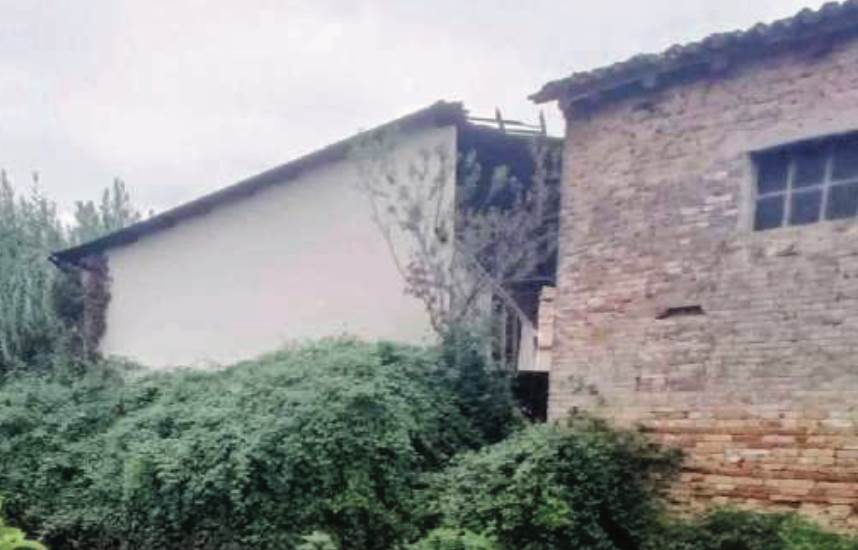 Photo 15