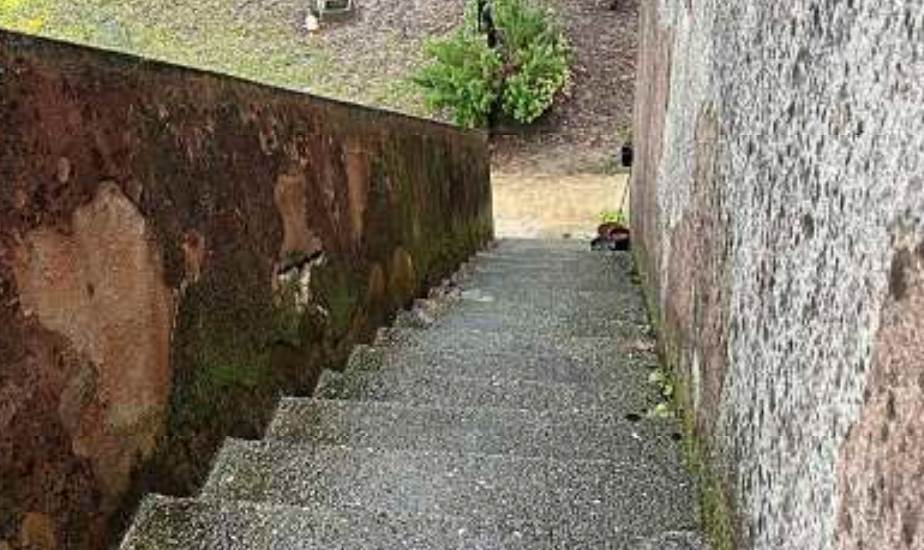 Photo 29