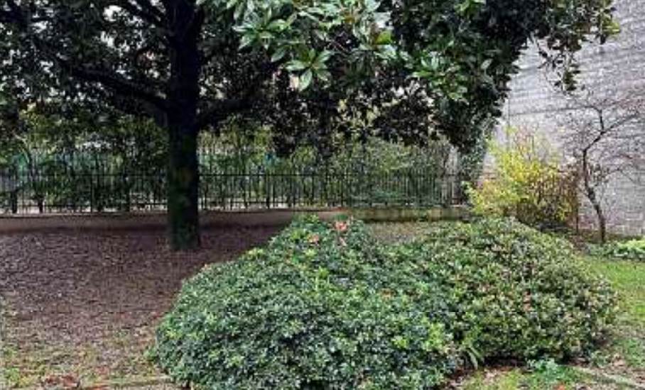 Photo 48