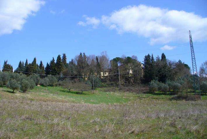 Photo 47