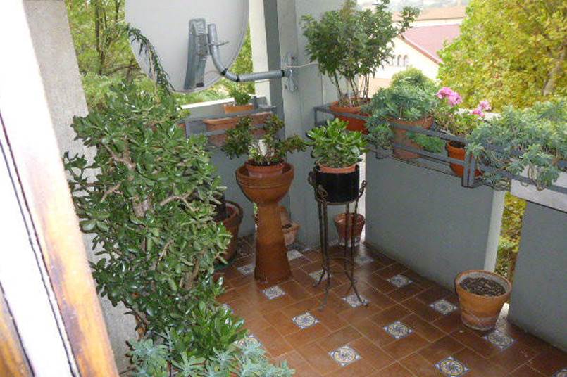 Photo 29