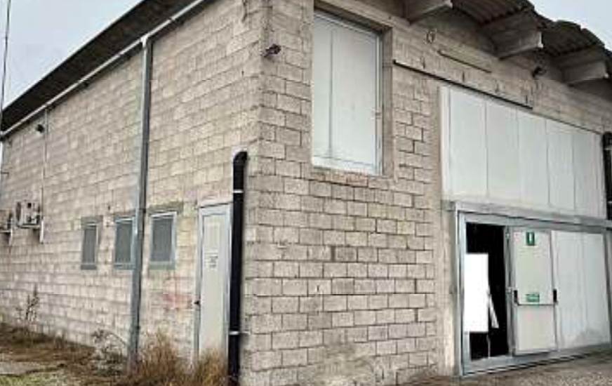 Photo 12