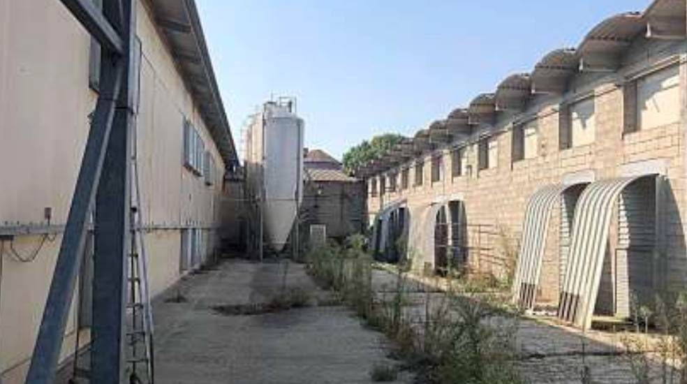 Photo 16