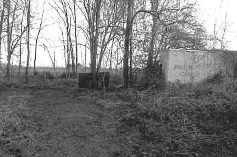 Photo 40