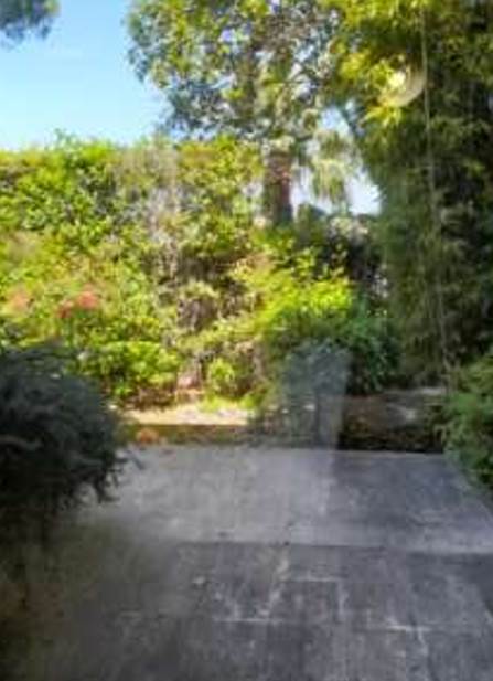Photo 31