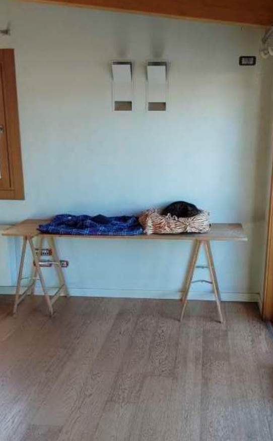 Photo 34