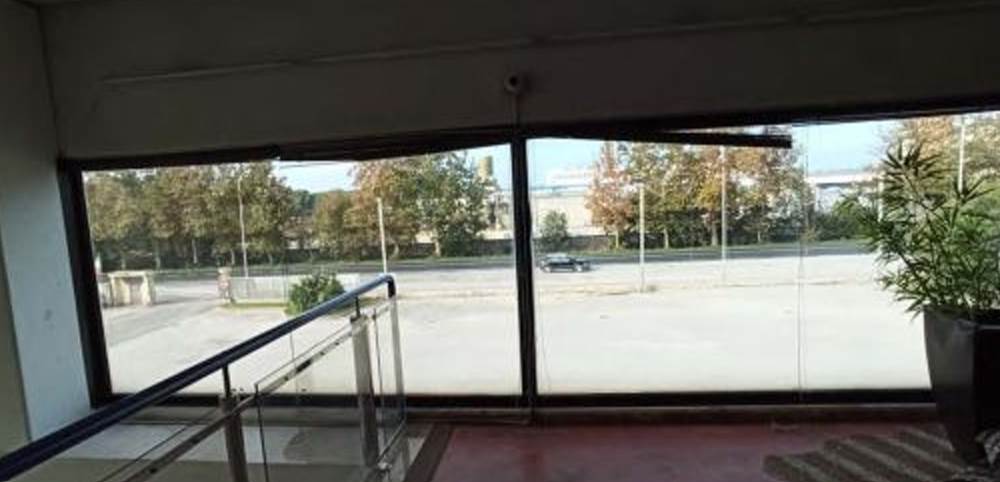 Photo 44