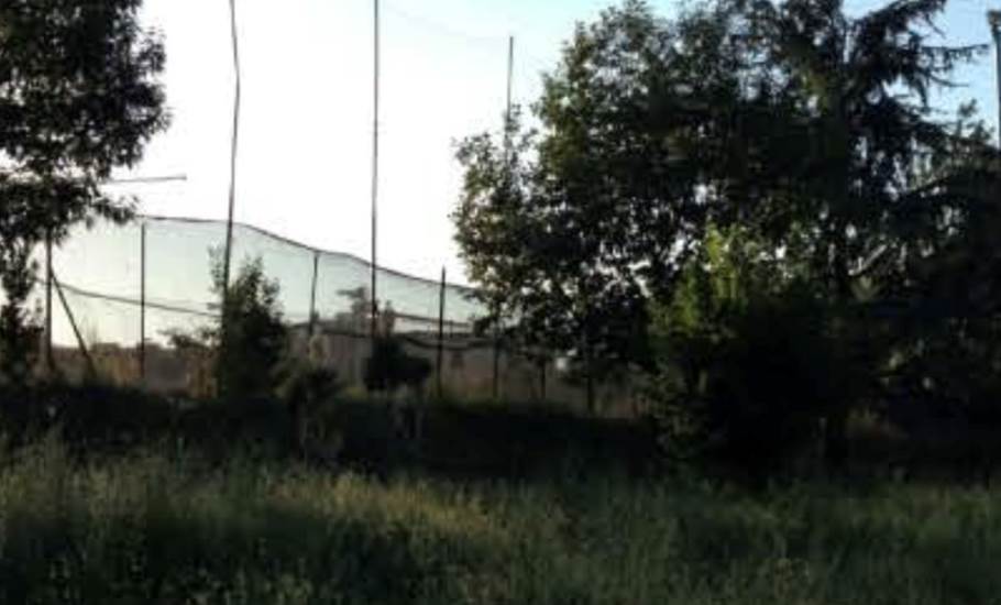 Photo 7