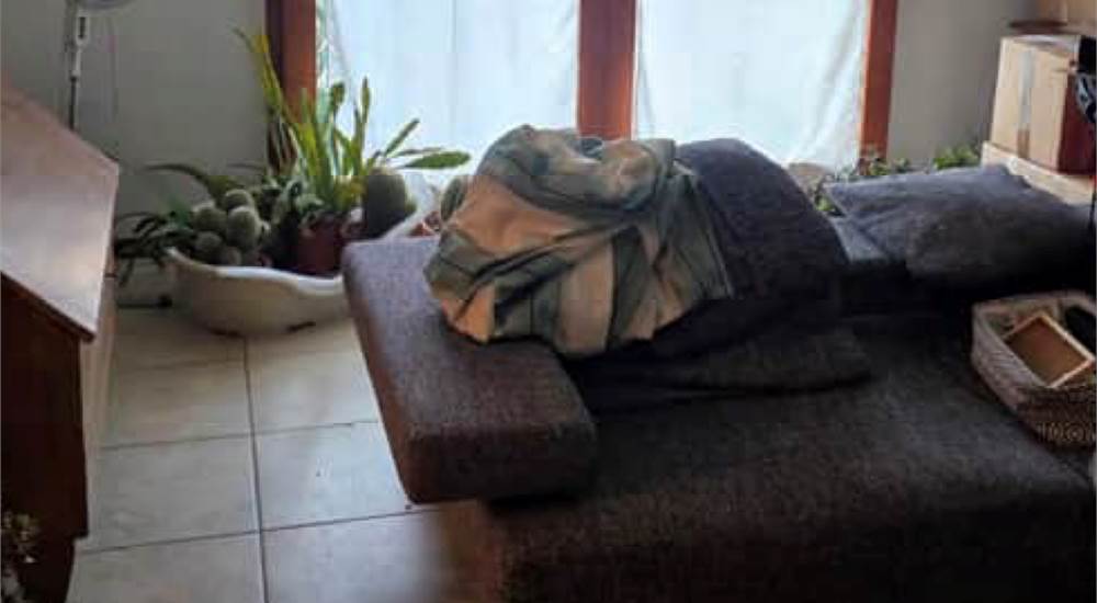 Photo 22