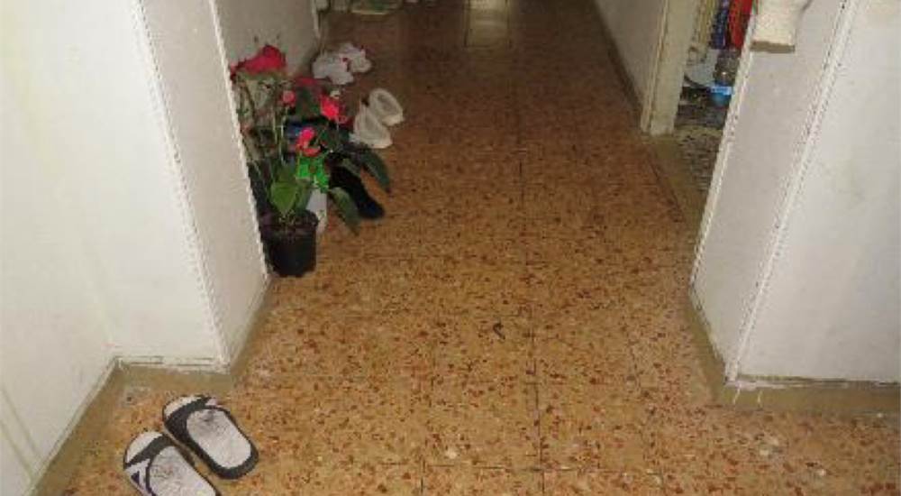 Photo 4
