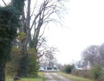Photo 38