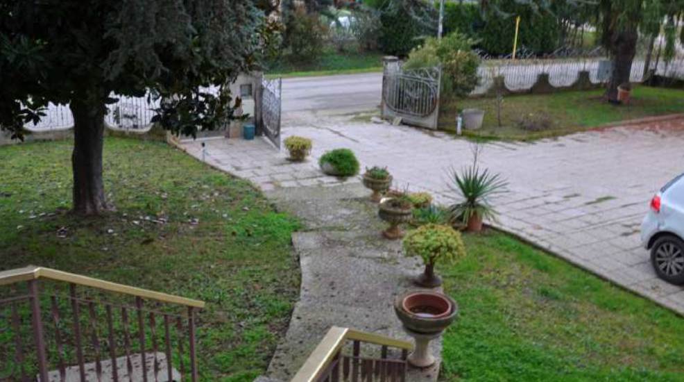 Photo 10