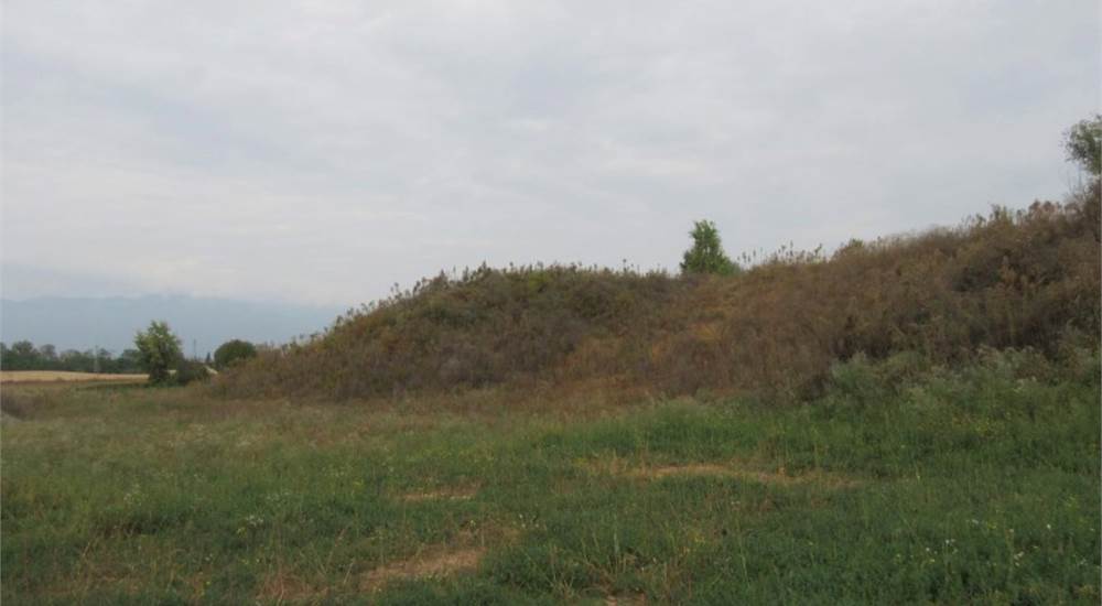 Photo 17